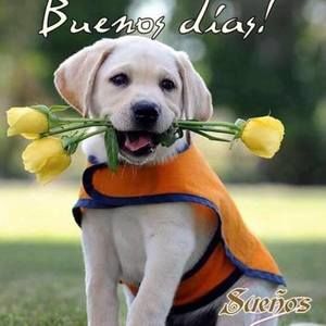 Meet your Posher, Salud